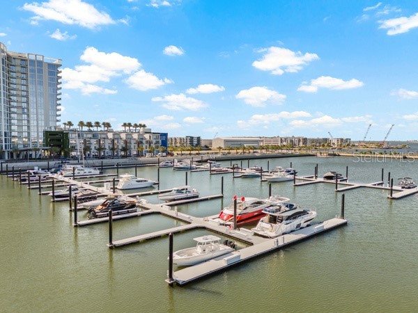 5120 Marina Way #9906 Tampa FL 33611 TB8439721 image2