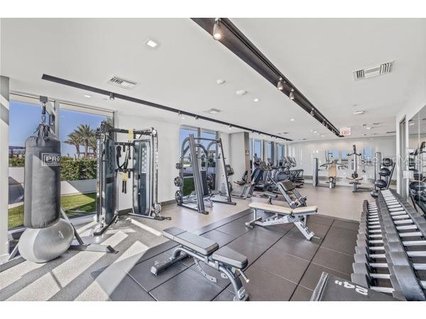 5120 Marina Way #9906 Tampa FL 33611 TB8439803 image14