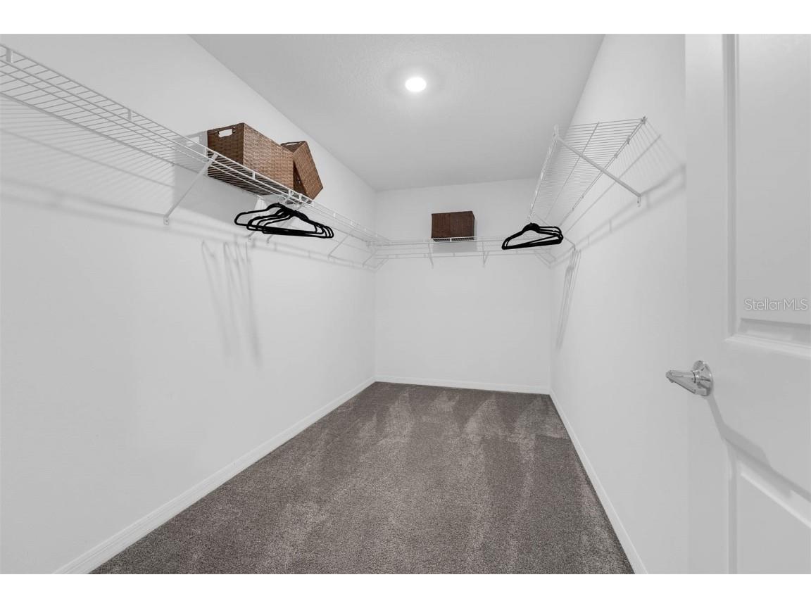 5120 Tanzanite Drive Mount Dora FL 32757 O6358319 image30