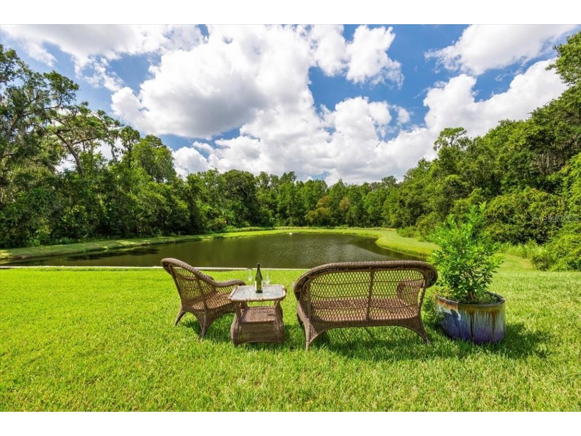 5120 Tari Stream Way Brandon FL 33511 A4582609 image14