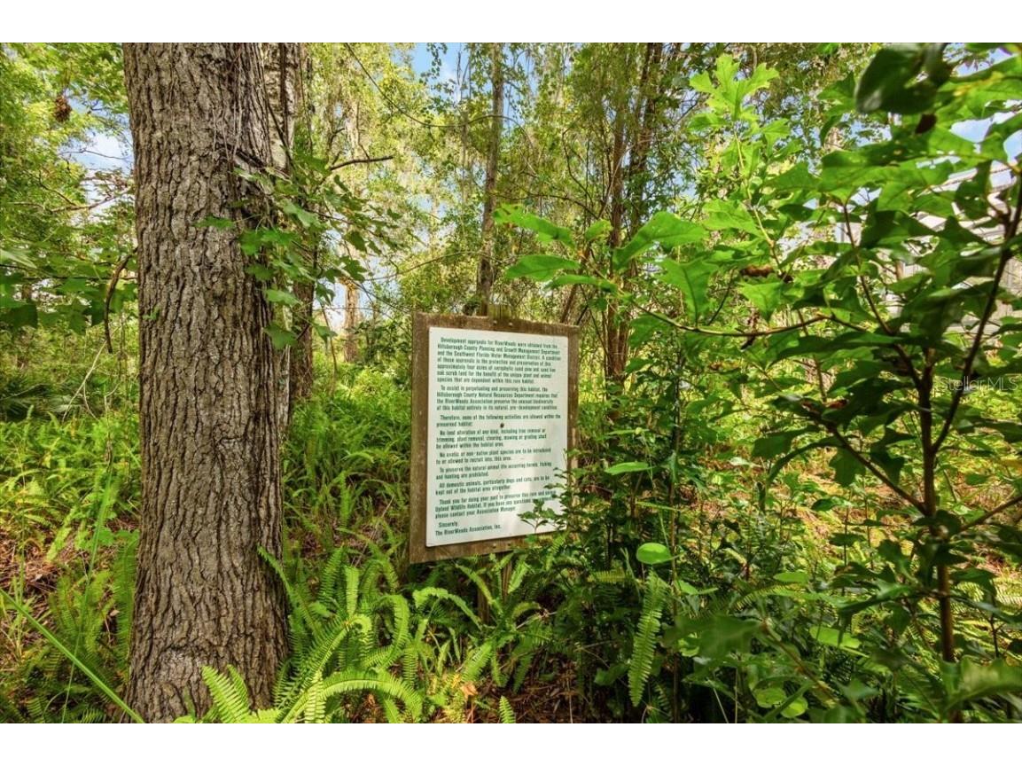 5120 Tari Stream Way Brandon FL 33511 A4582609 image30