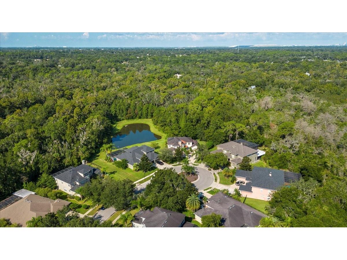 5120 Tari Stream Way Brandon FL 33511 A4582609 image35