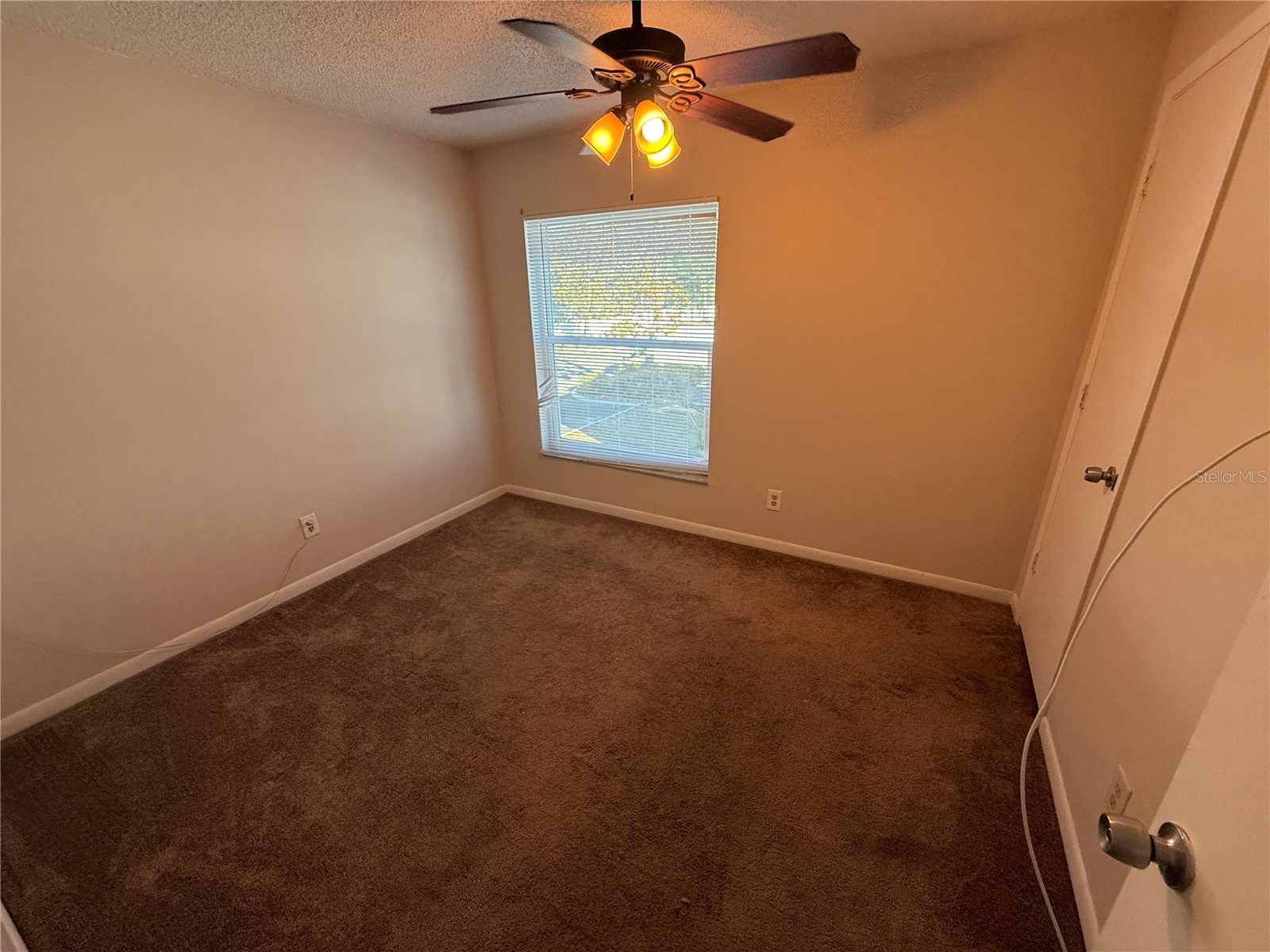 5120 Temple Heights Road #D Tampa FL 33617 O6383579 image14