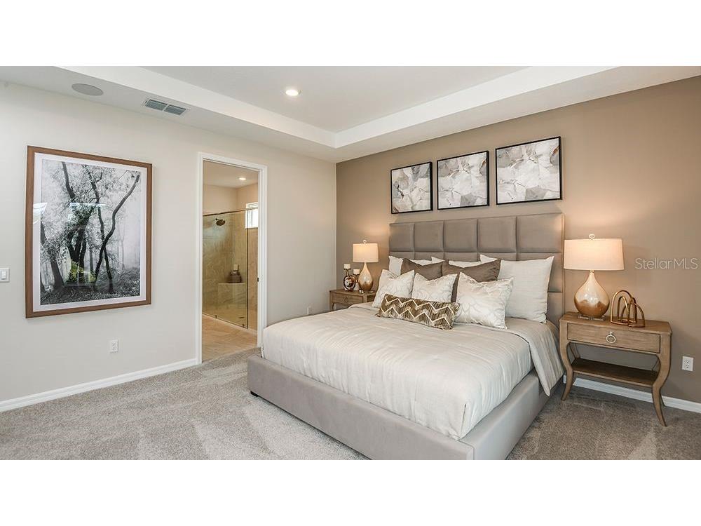 5121 Slate Hue Place Apollo Beach FL 33572 TB8452993 image15