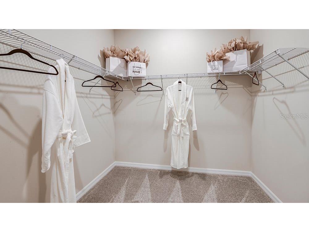 5121 Slate Hue Place Apollo Beach FL 33572 TB8452993 image18