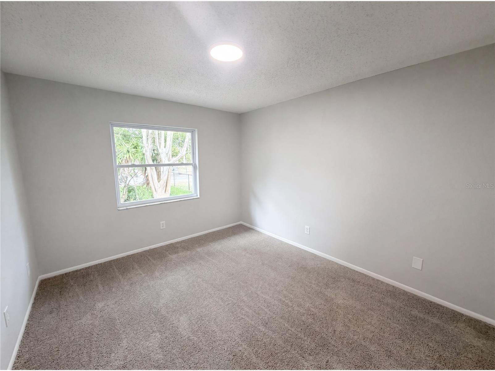 5122 Brookside Lane New Port Richey FL 34653 TB8506465 image26