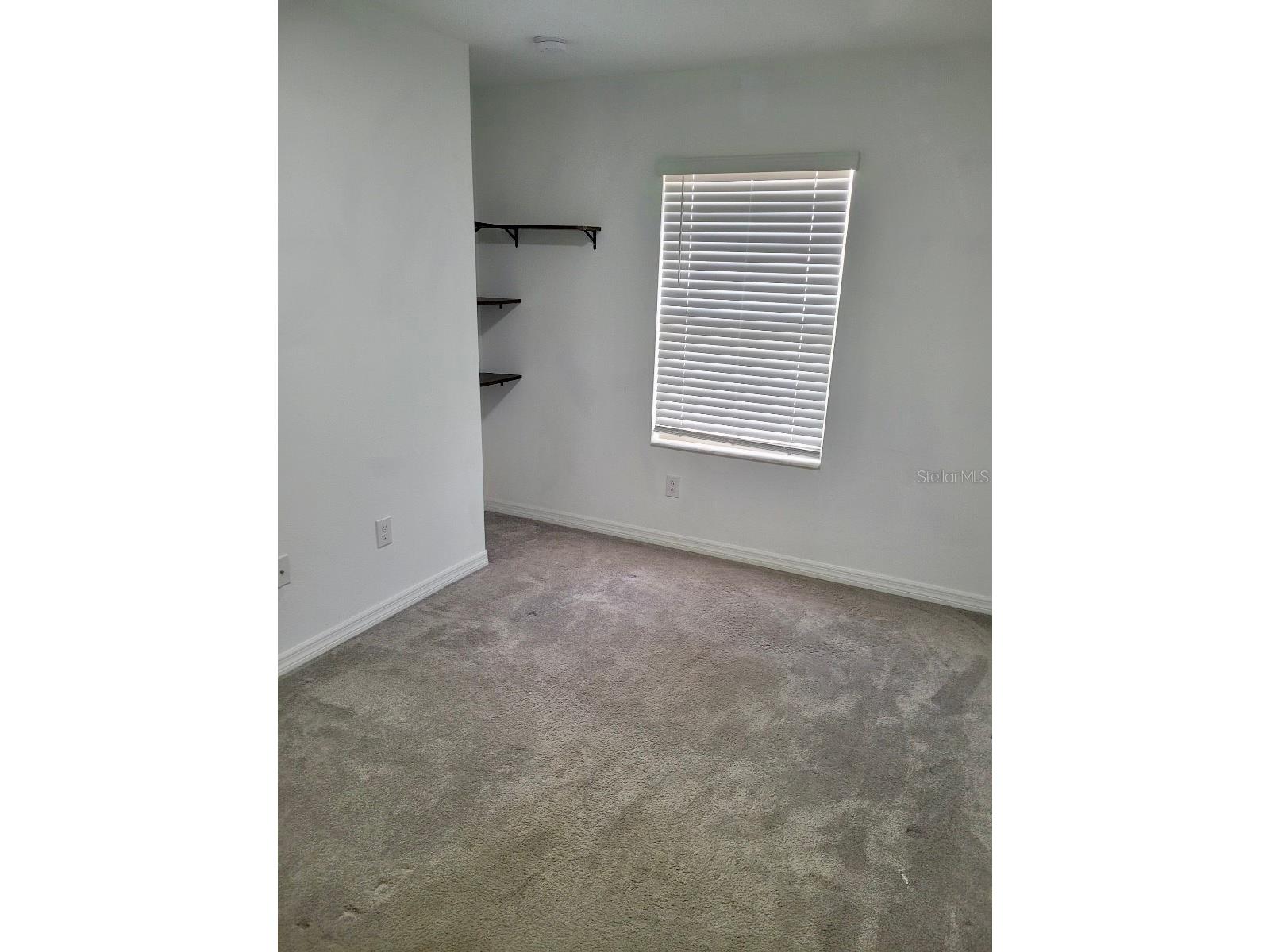 5122 Forum Boulevard Holiday FL 34690 TB8506434 image7