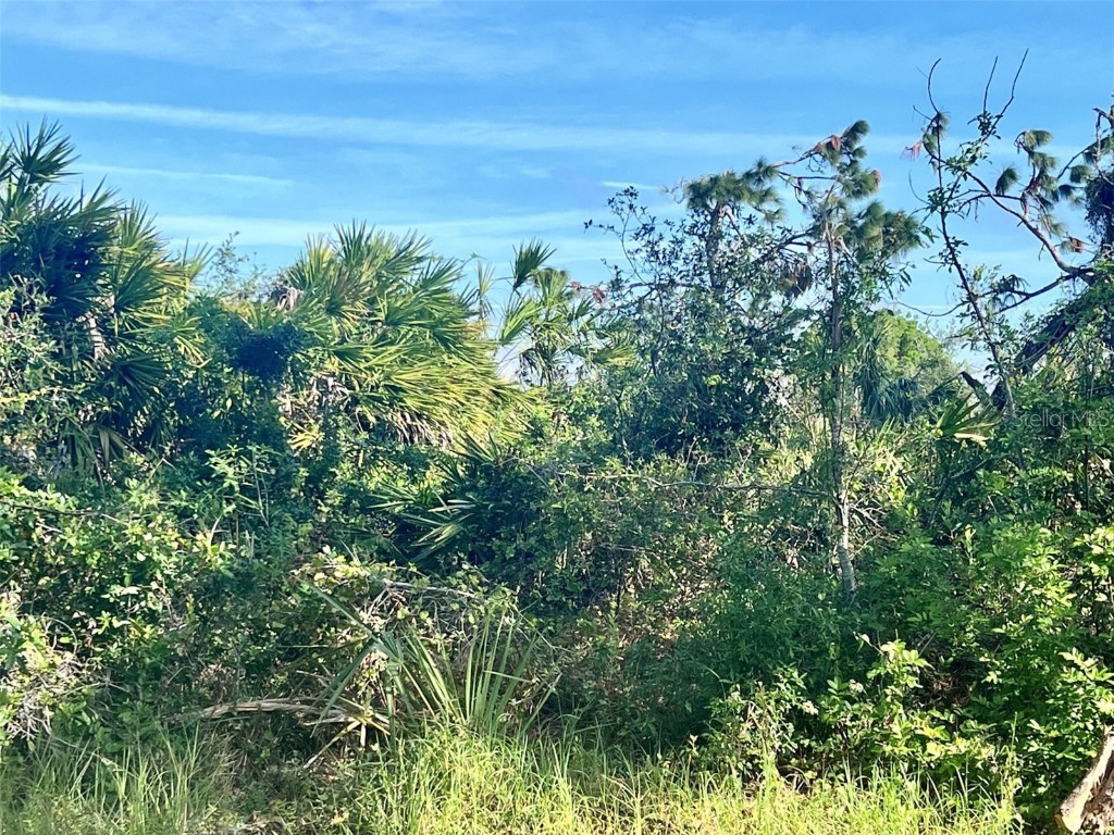 5122 Plateau Lane Port Charlotte FL 33981 C7488625 image1