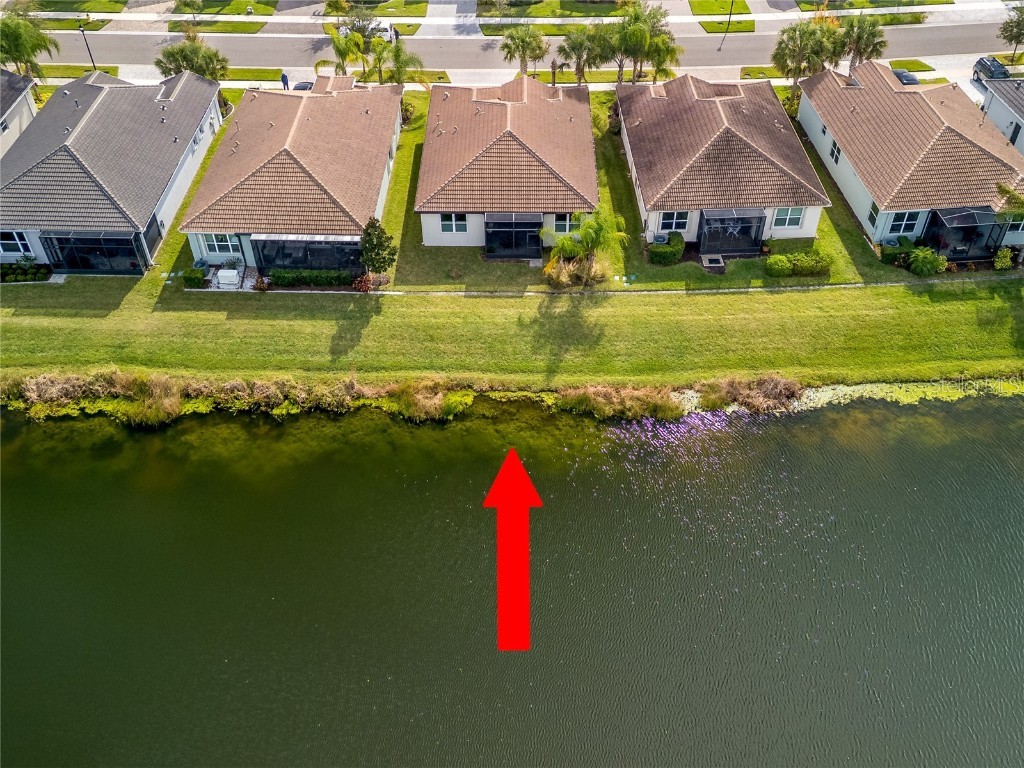 5122 Sierra Falls Court Wimauma FL 33598 TB8454749 image7