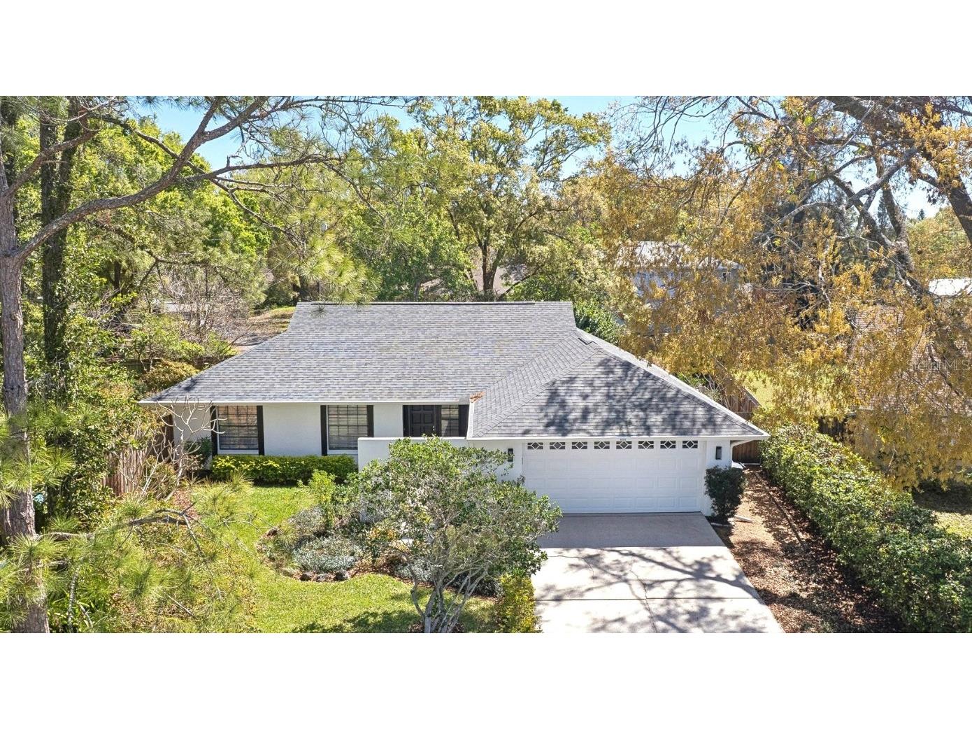 5123 Nashville Drive Tampa FL 33624 TB8360157 image1