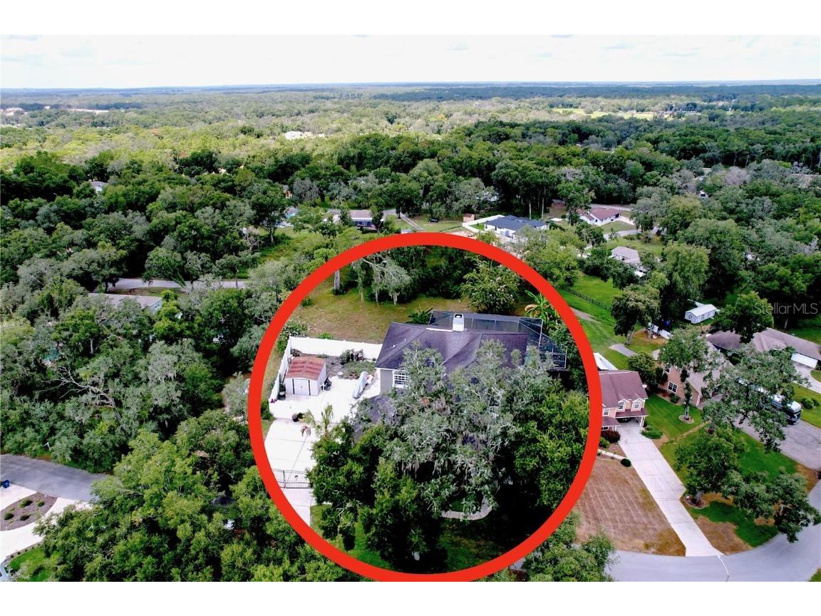 5123 Shorewood Drive Dade City FL 33523 TB8425571 image16