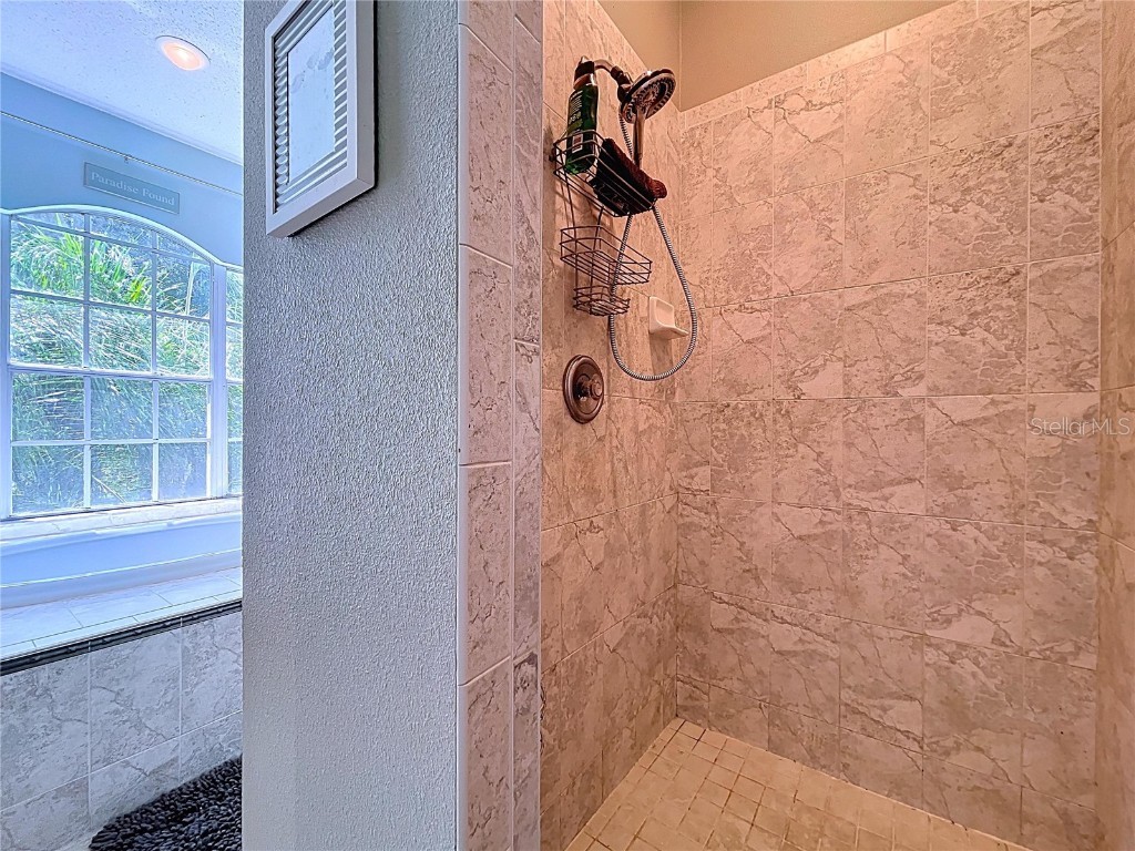 5123 Shorewood Drive Dade City FL 33523 TB8425571 image72