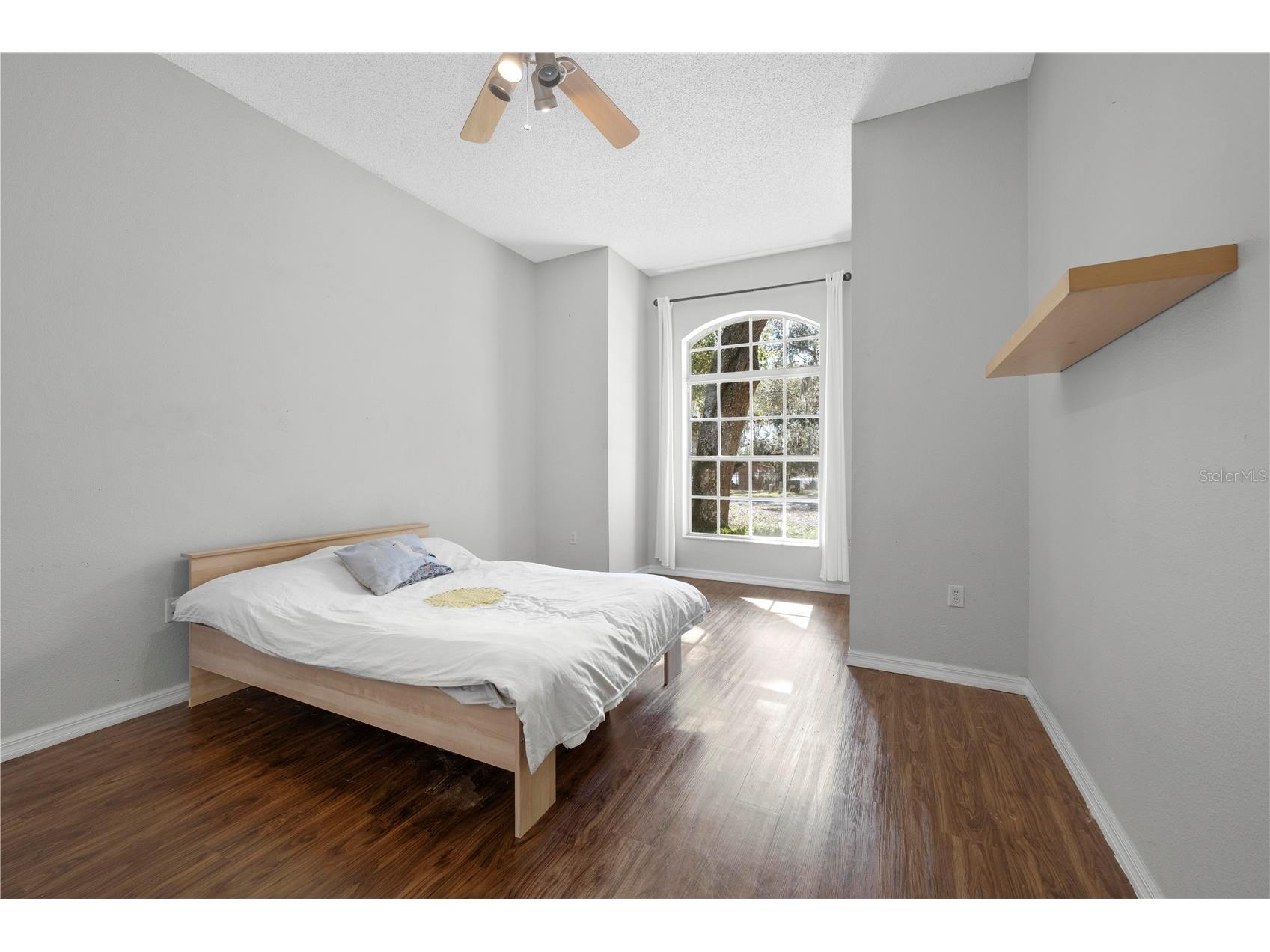 5123 Shorewood Drive Dade City FL 33523 TB8470795 image23