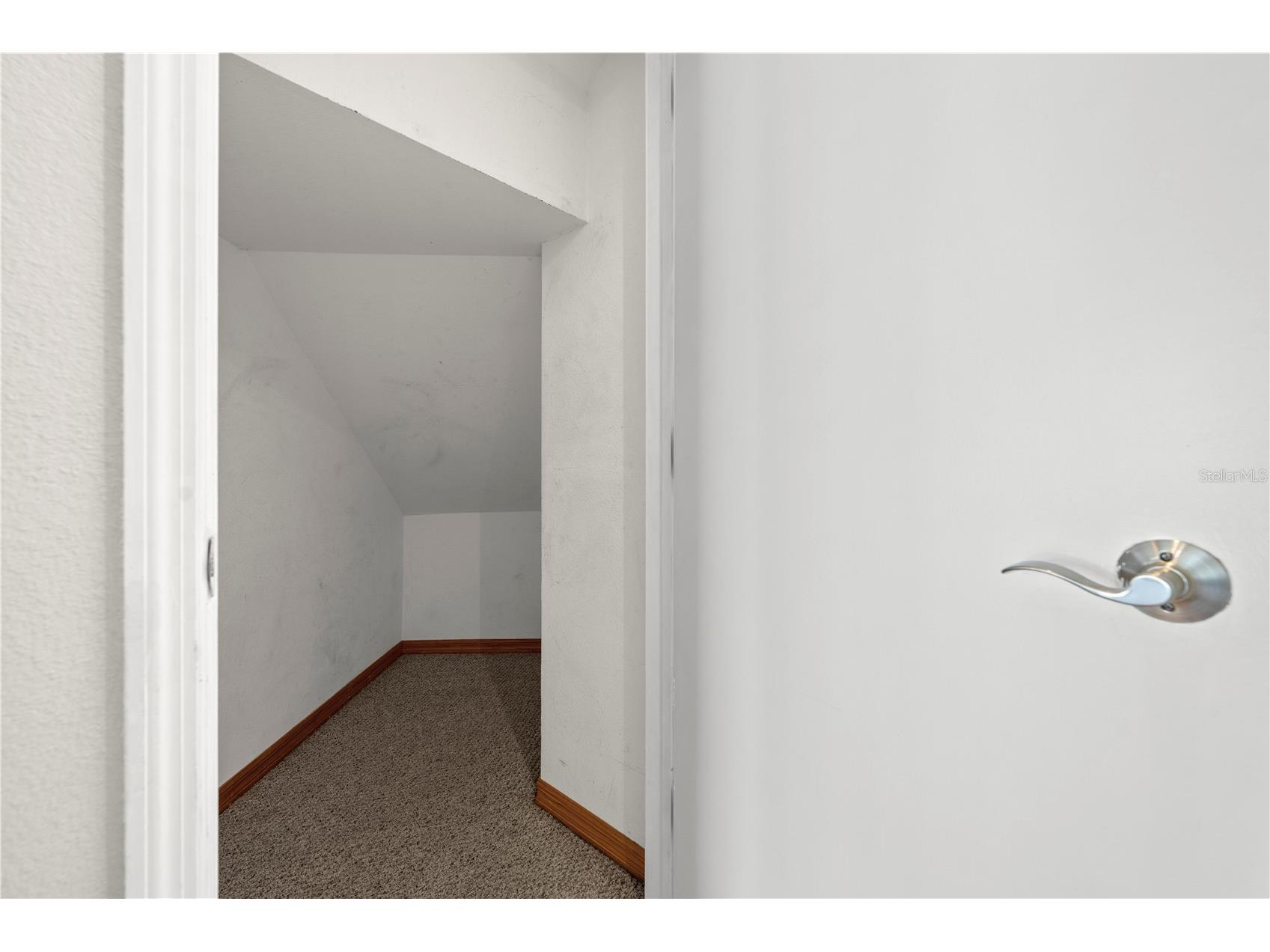 5123 Shorewood Drive Dade City FL 33523 TB8470795 image39