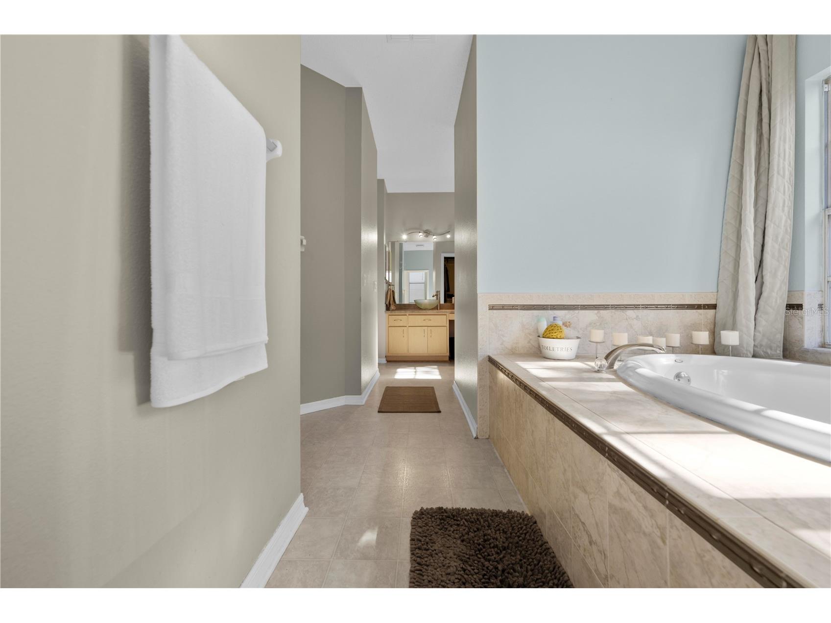 5123 Shorewood Drive Dade City FL 33523 TB8470795 image53