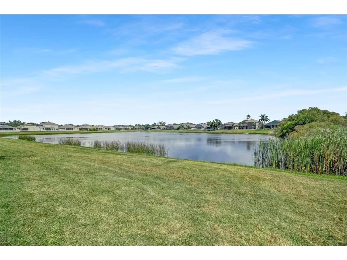 5124 Clover Mist Drive Apollo Beach FL 33572 TB8451796 image5