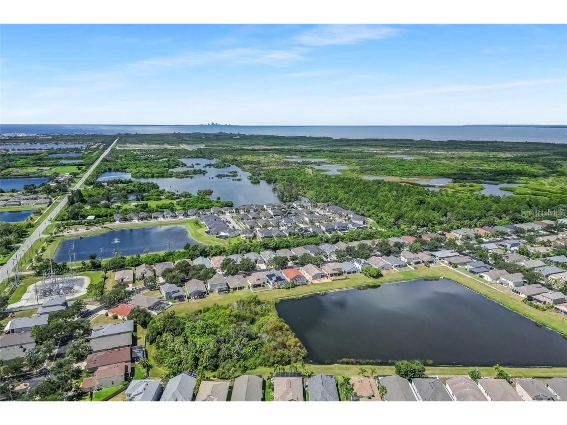 5124 Clover Mist Drive Apollo Beach FL 33572 TB8451796 image50