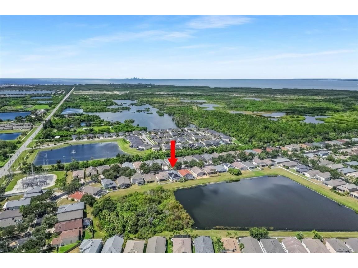 5124 Clover Mist Drive Apollo Beach FL 33572 TB8451796 image6