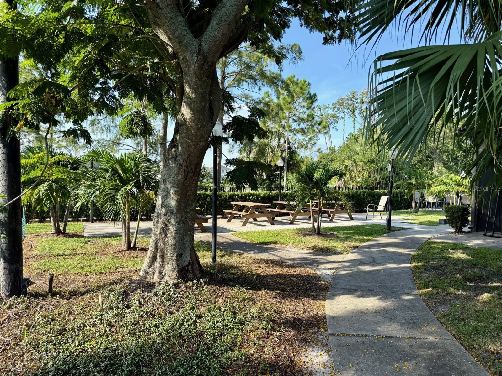 5124 Conroy Road #34 Orlando FL 32811 S5130500 image7