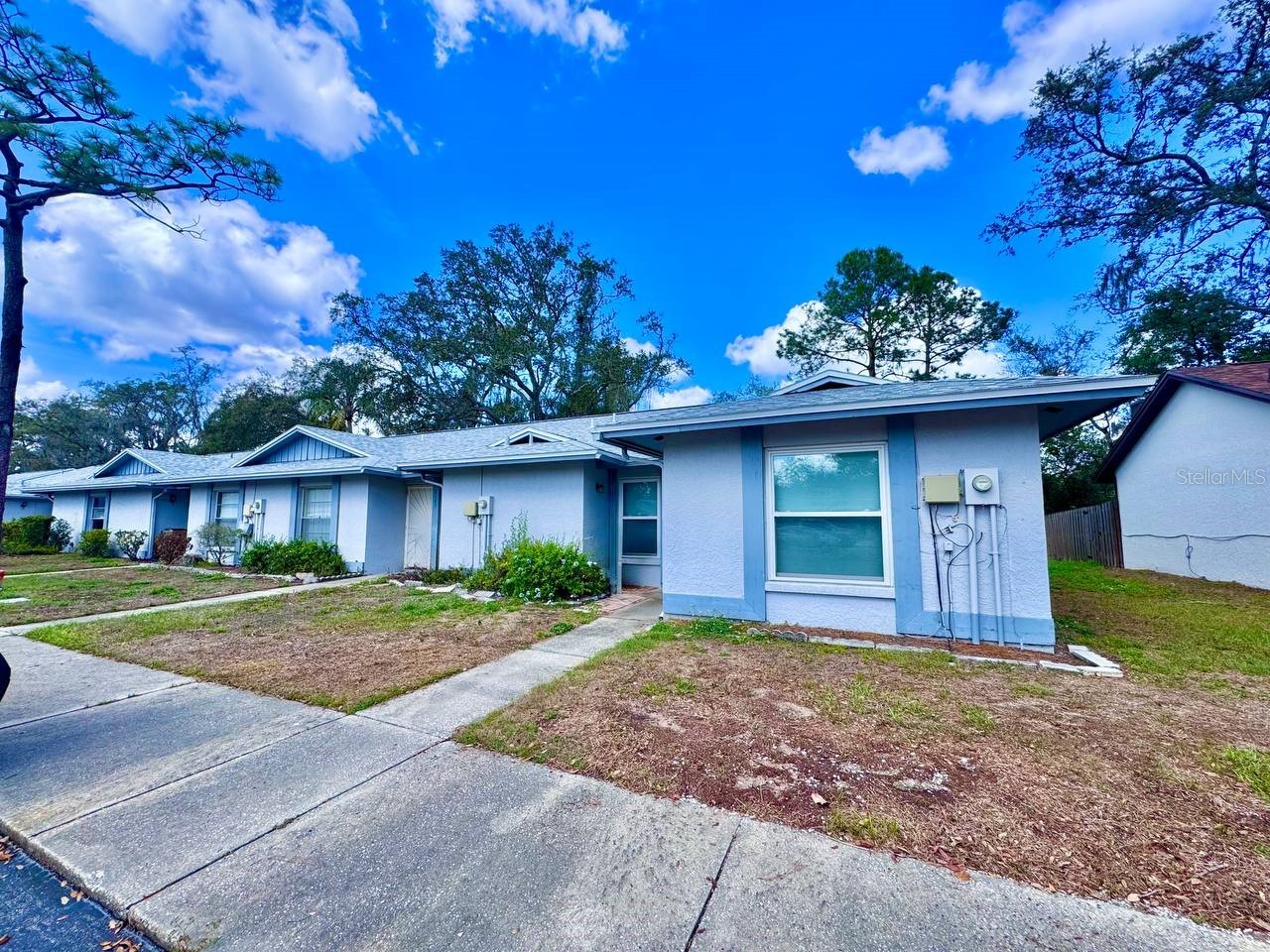 5124 Gainsville Drive Temple Terrace FL 33617 TB8485165 image2