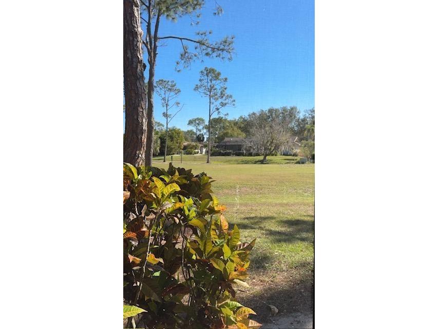 5124 Harpers Croft #7 Sarasota FL 34235 A4679022 image16