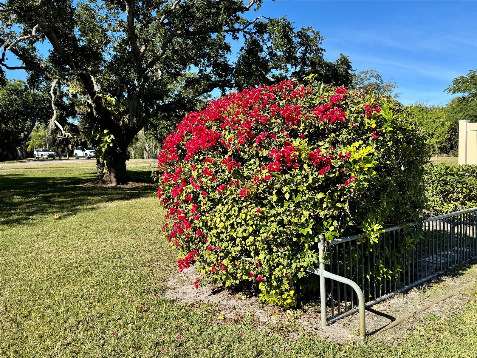 5124 Harpers Croft #7 Sarasota FL 34235 A4679022 image51