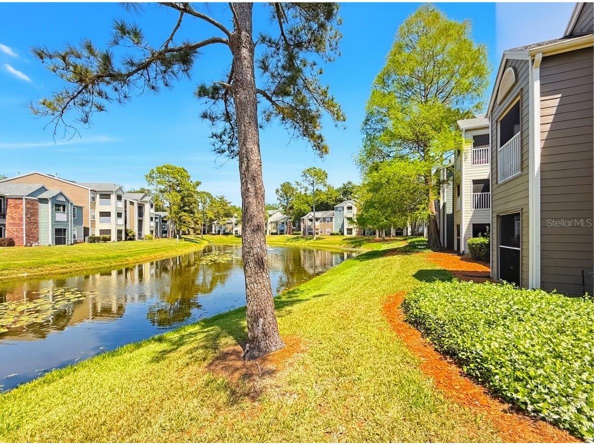 5124 Park Central Drive #527 Orlando FL 32839 O6400054 image24