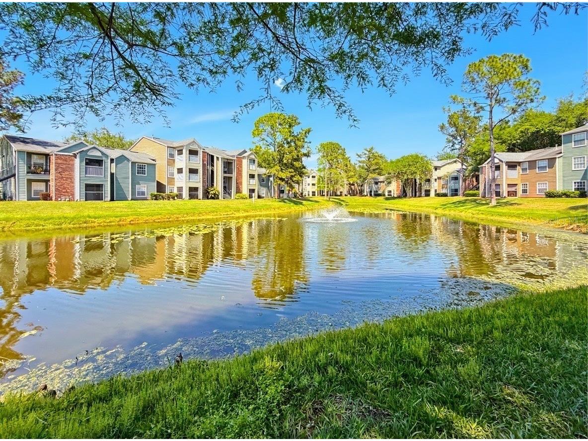 5124 Park Central Drive #527 Orlando FL 32839 O6400054 image25