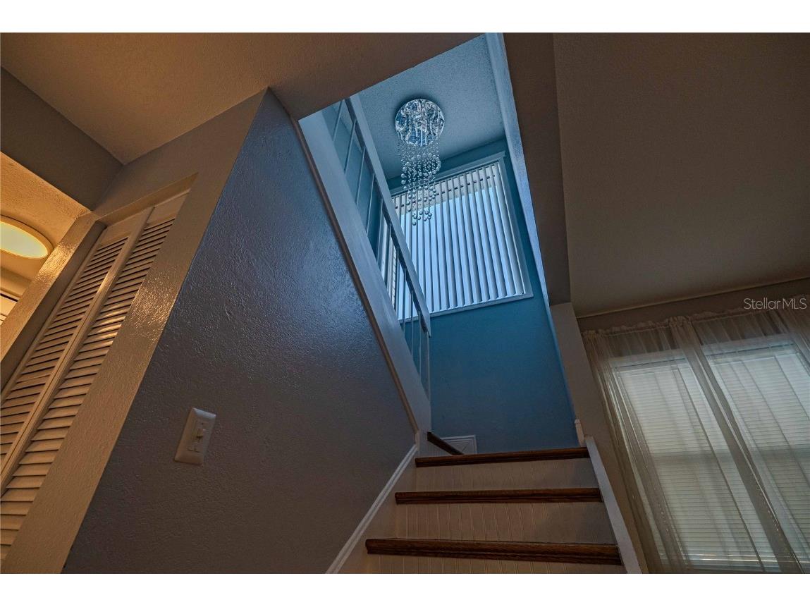 5124 Springwood Drive Tampa FL 33624 TB8450816 image12