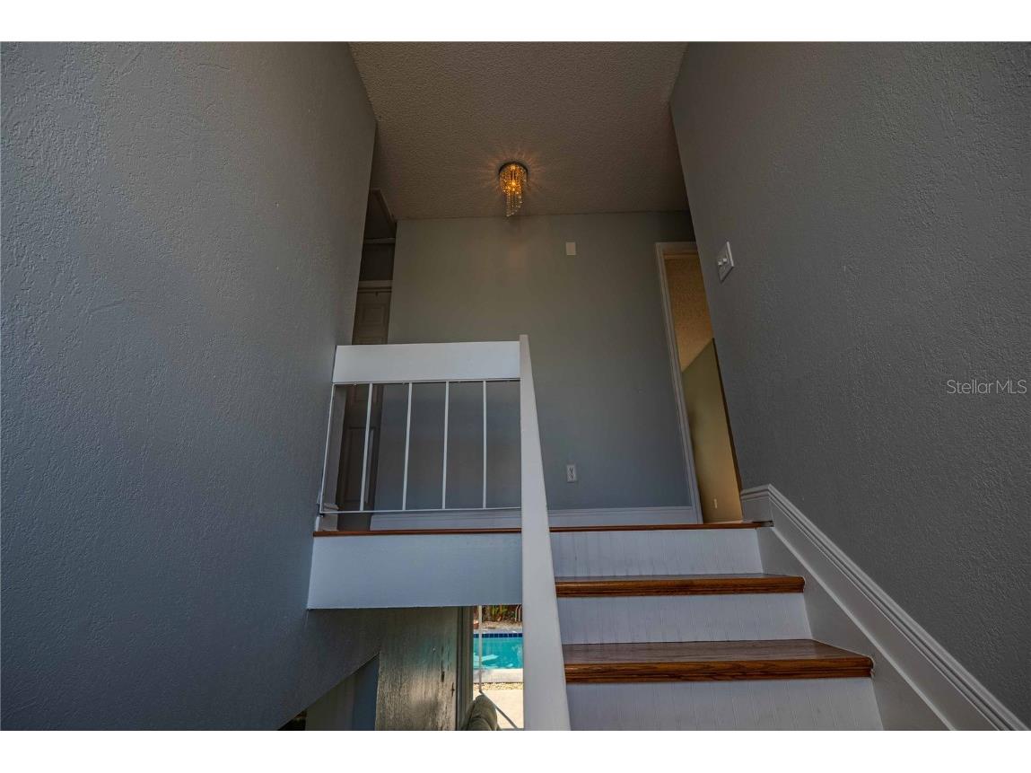 5124 Springwood Drive Tampa FL 33624 TB8450816 image13