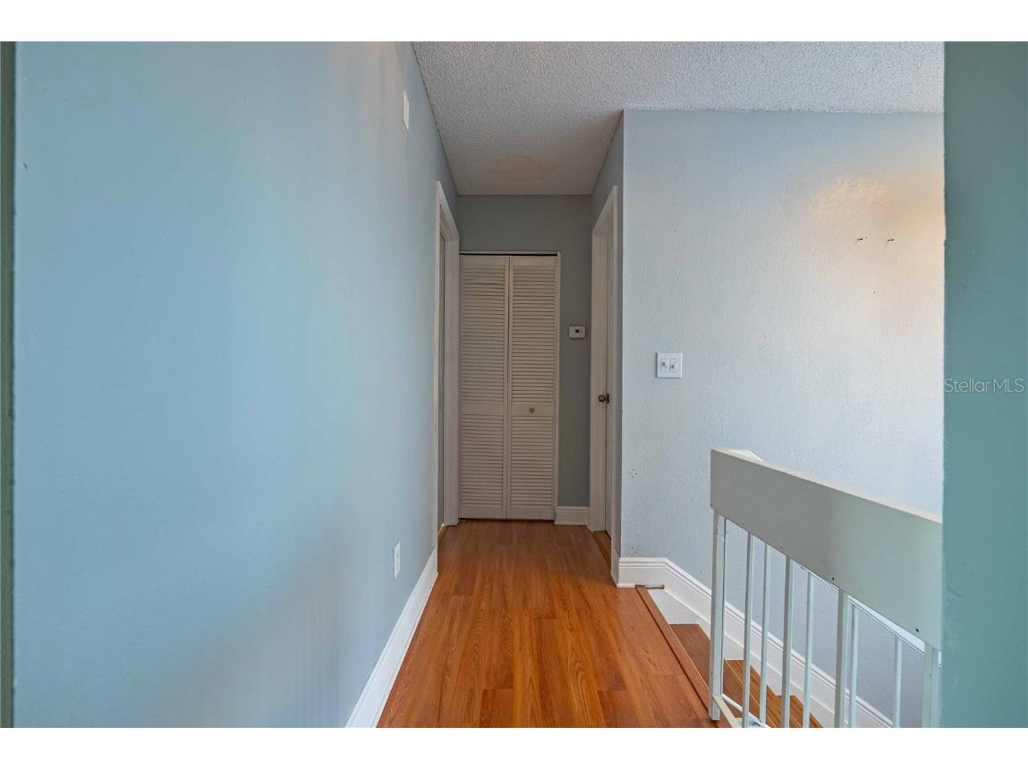 5124 Springwood Drive Tampa FL 33624 TB8450816 image15