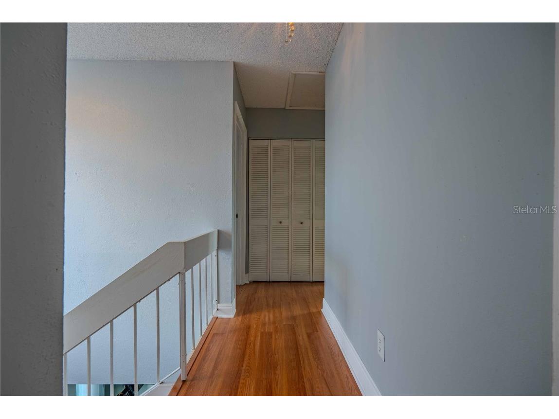 5124 Springwood Drive Tampa FL 33624 TB8450816 image30