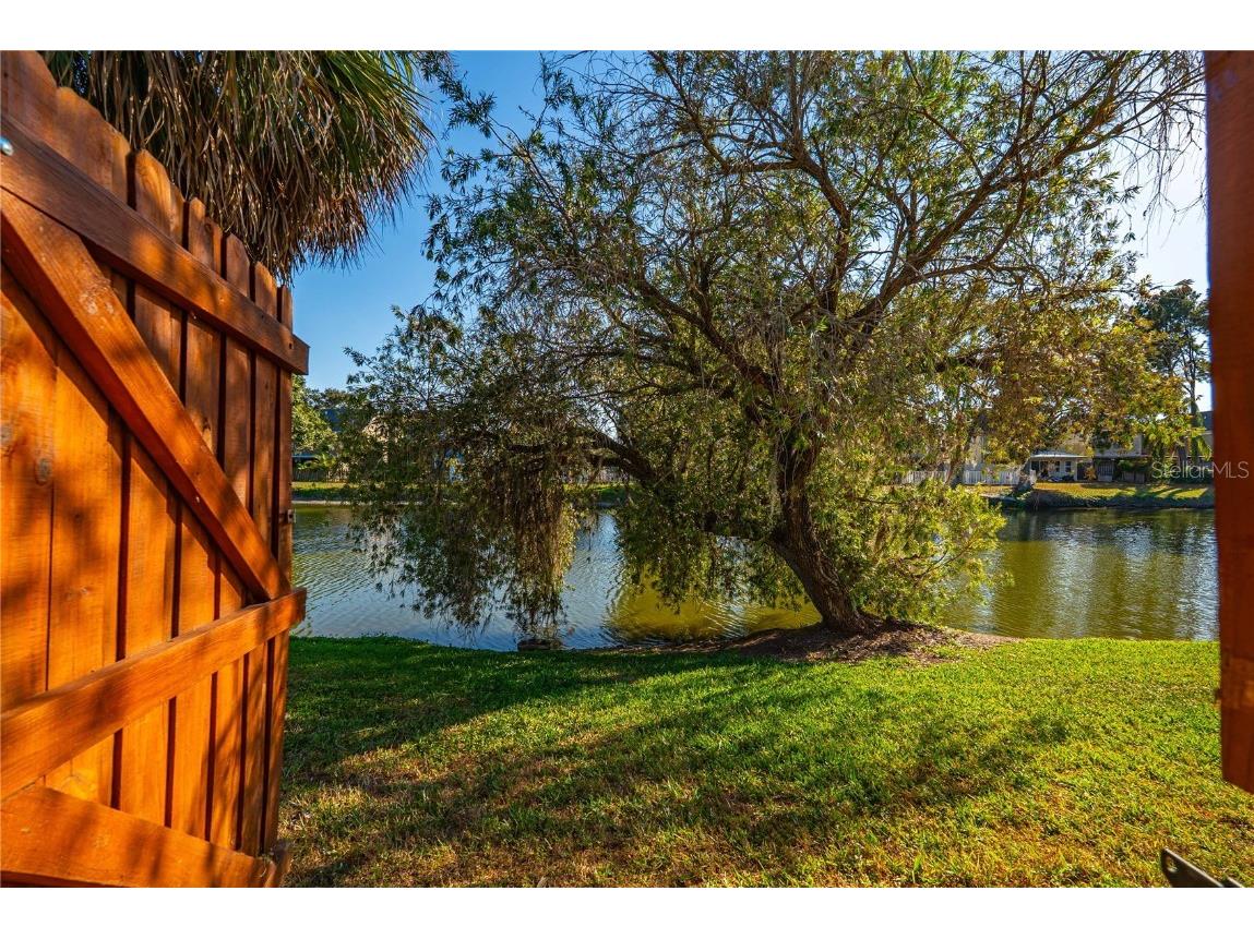 5124 Springwood Drive Tampa FL 33624 TB8450816 image41