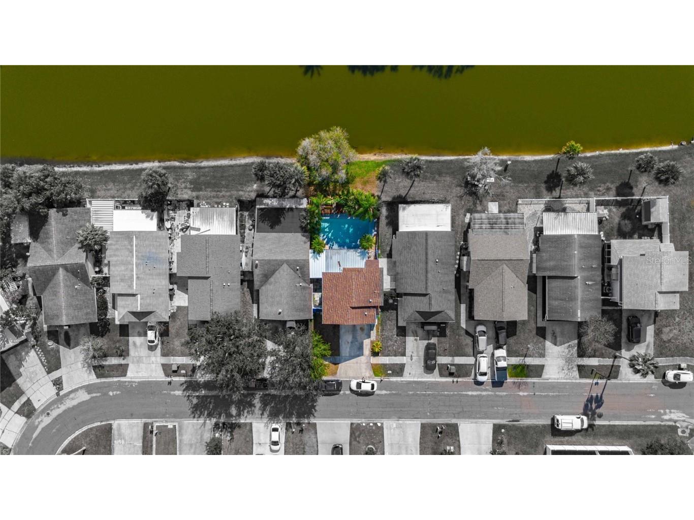 5124 Springwood Drive Tampa FL 33624 TB8450816 image48