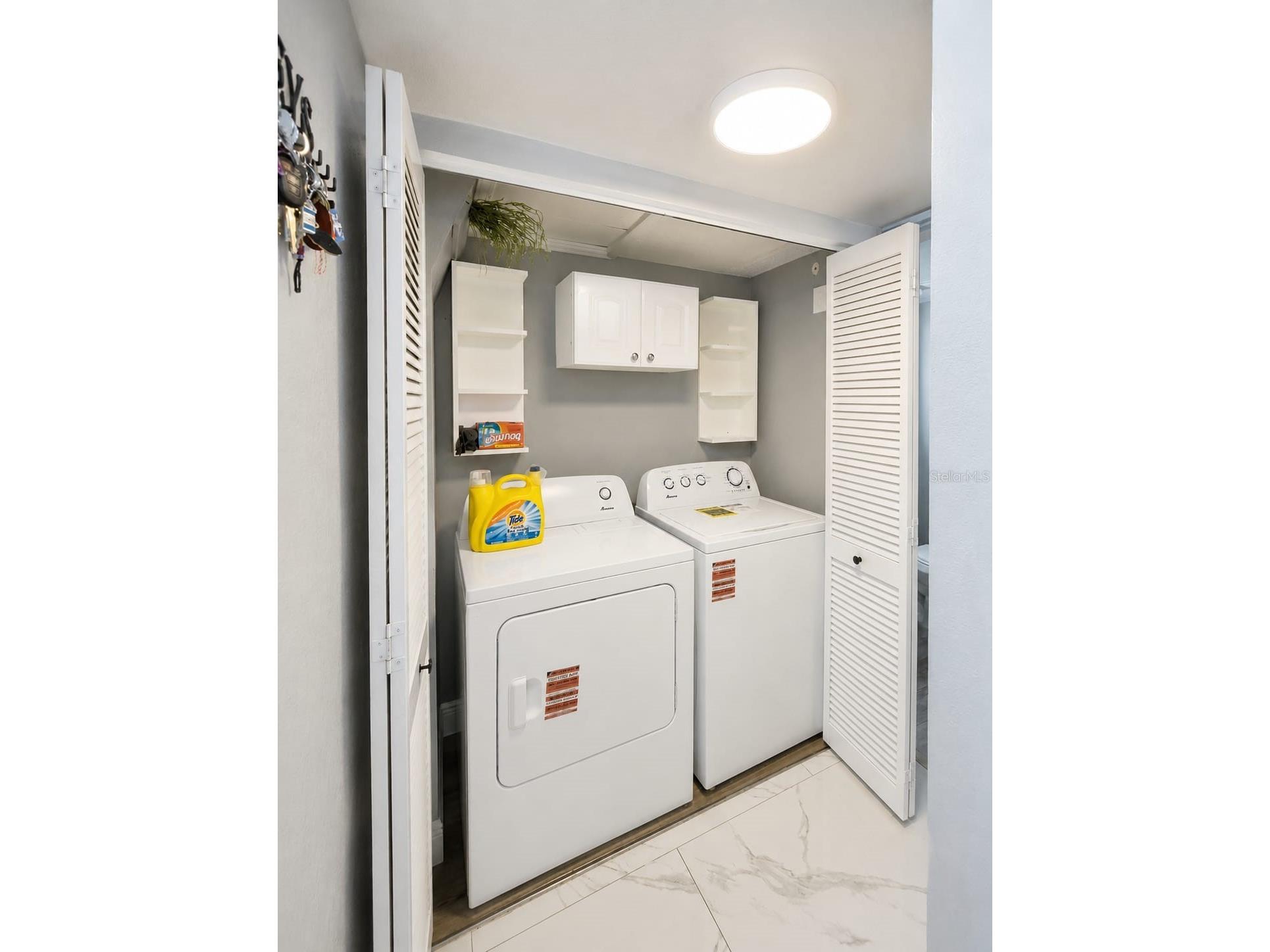 5124 Springwood Drive Tampa FL 33624 TB8512038 image8