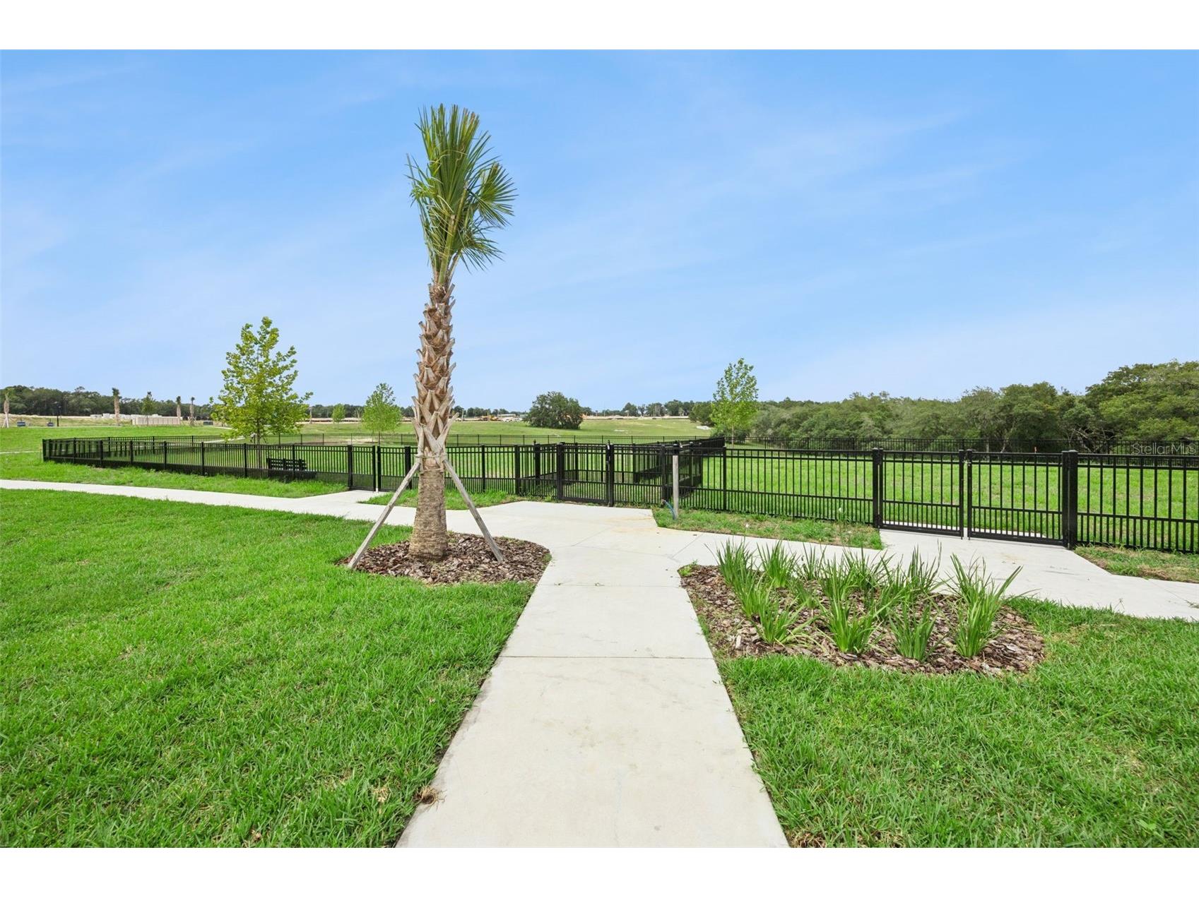 5124 Waypointe Boulevard Apopka FL 32712 O6410145 image33