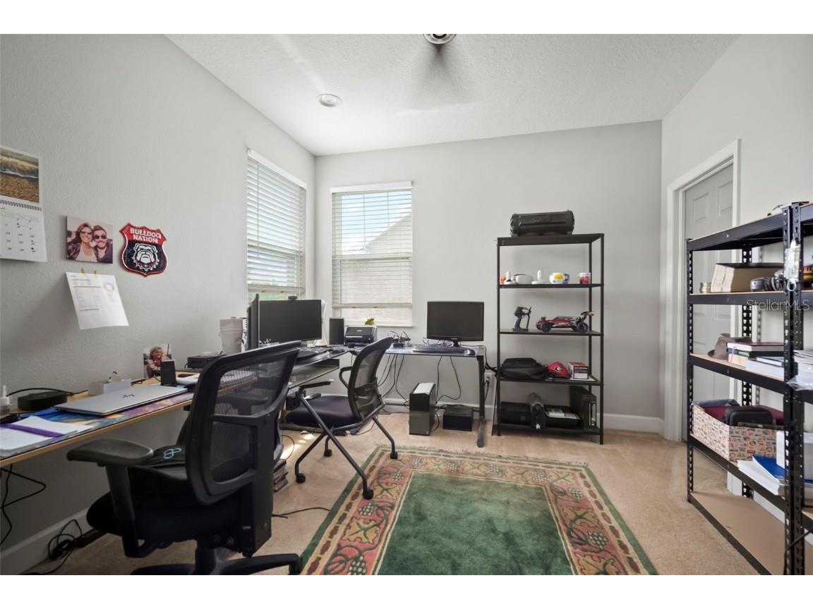 5125 Admiral Pointe Drive Apollo Beach FL 33572 TB8424462 image45