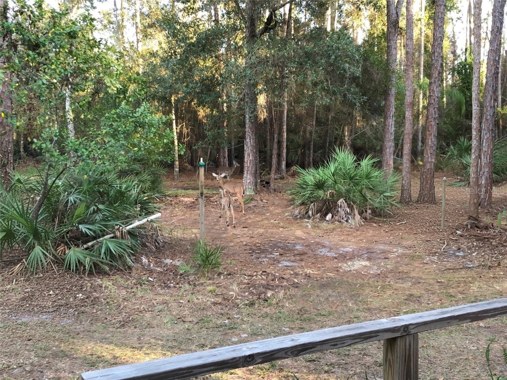 5125 Moore Street Saint Cloud FL 34771 O6358300 image15