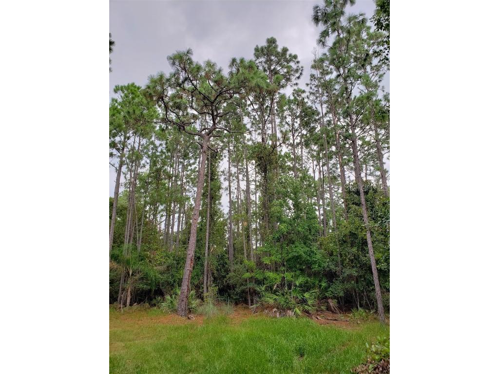 5125 Moore Street Saint Cloud FL 34771 O6358300 image4