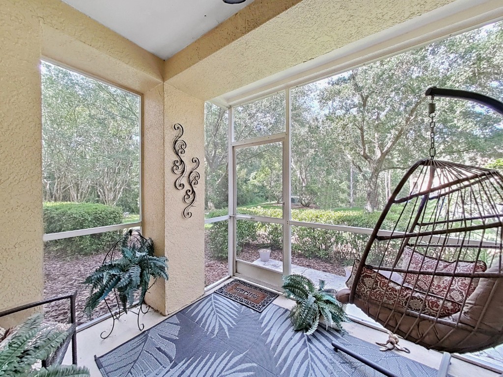 5125 Palm Springs Boulevard #11104 Tampa FL 33647 TB8441181 image41