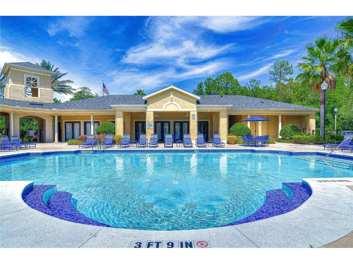 5125 Palm Springs Boulevard #11202 Tampa FL 33647 C7512467 image29