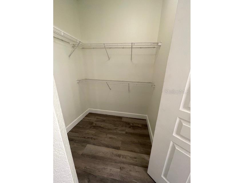 5125 Palm Springs Boulevard #11203 Tampa FL 33647 A4688207 image8