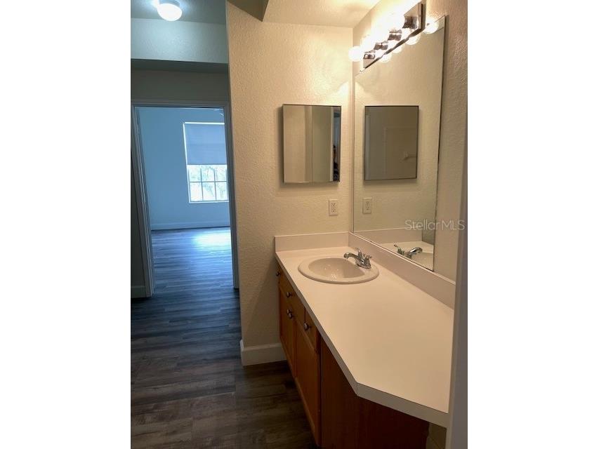 5125 Palm Springs Boulevard #11203 Tampa FL 33647 A4688207 image9