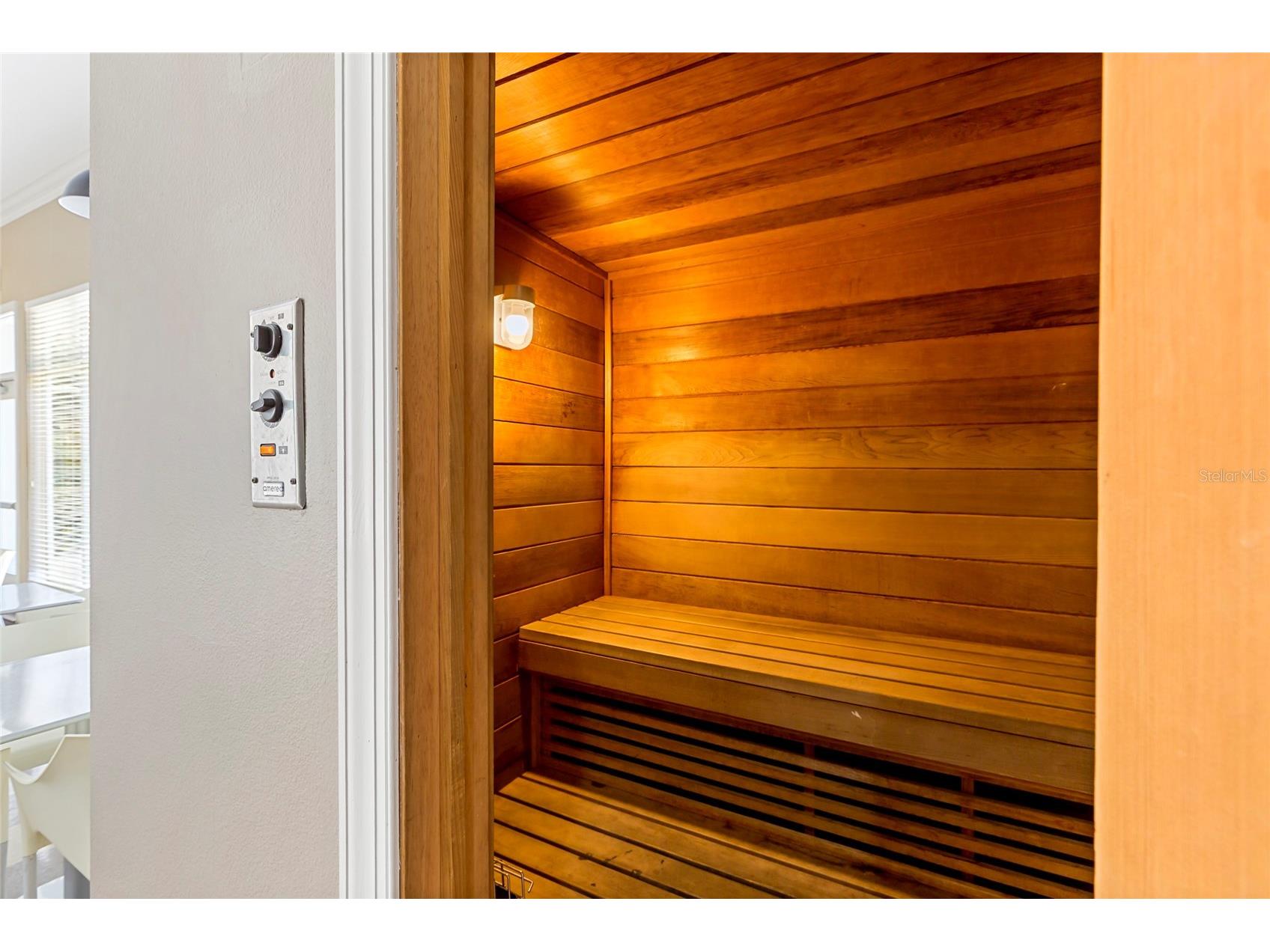 5125 Palm Springs Boulevard #11208 Tampa FL 33647 A4680373 image17