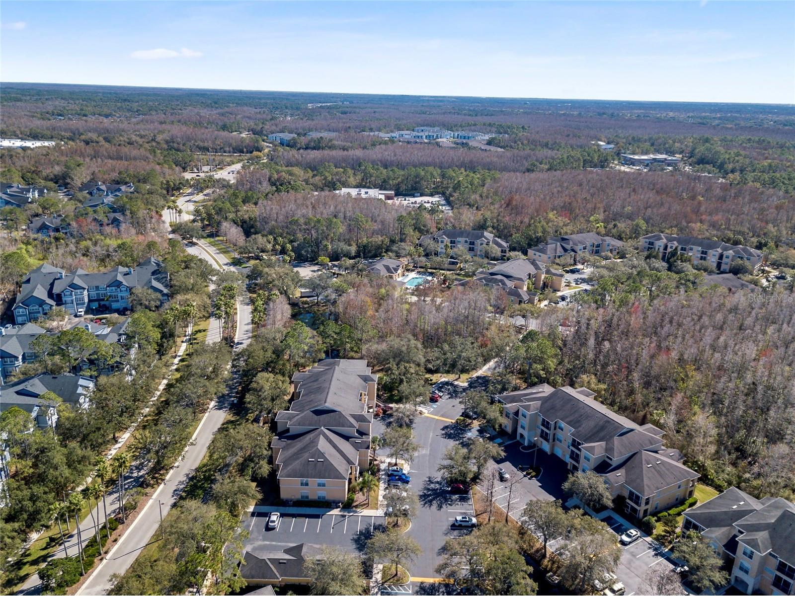 5125 Palm Springs Boulevard #11208 Tampa FL 33647 A4680373 image22