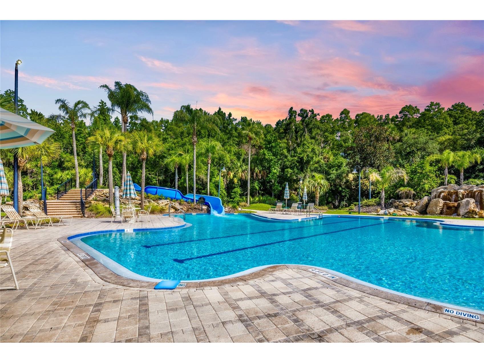 5125 Palm Springs Boulevard #1204 Tampa FL 33647 TB8523197 image2