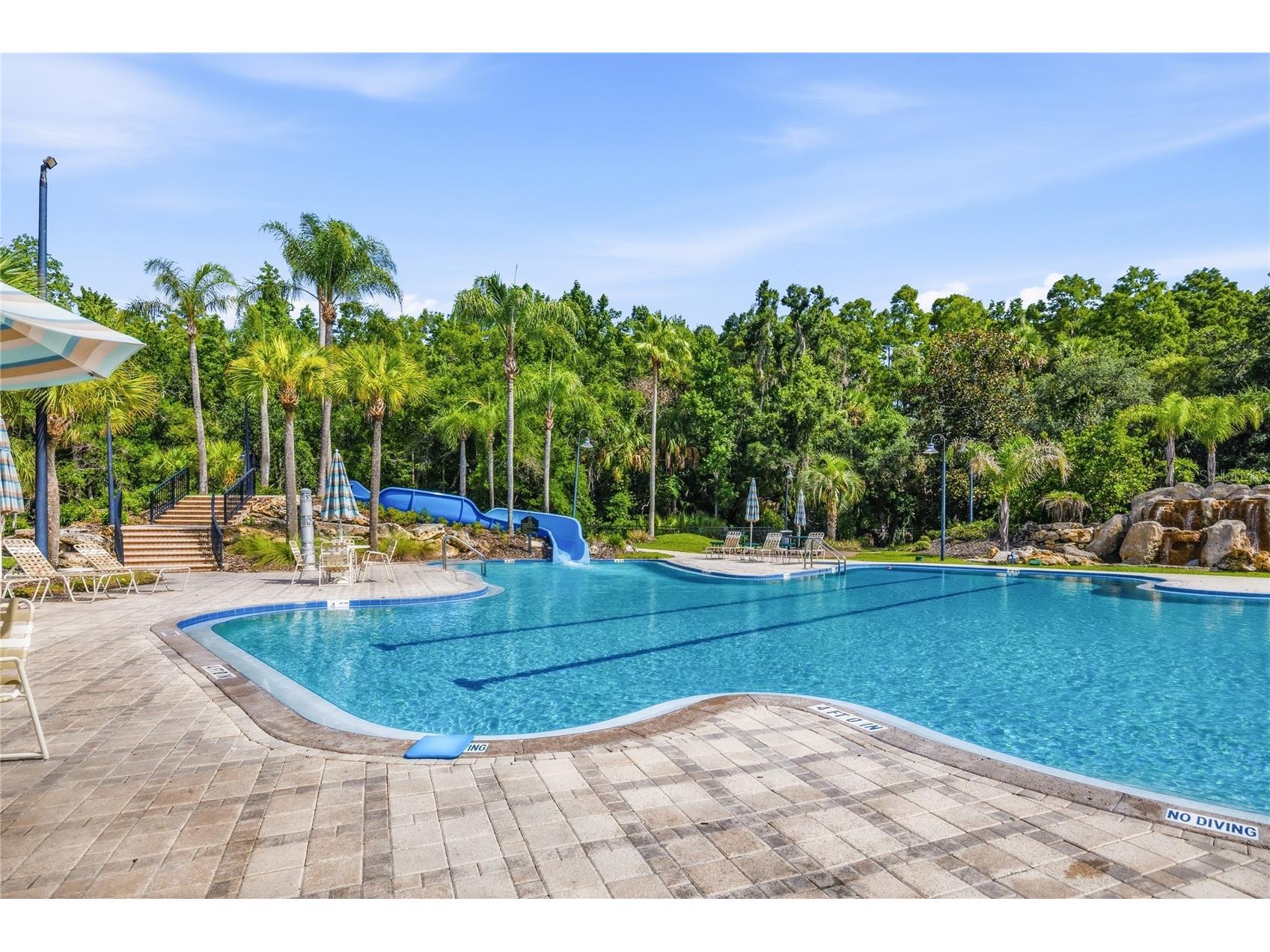 5125 Palm Springs Boulevard #1204 Tampa FL 33647 TB8523197 image25
