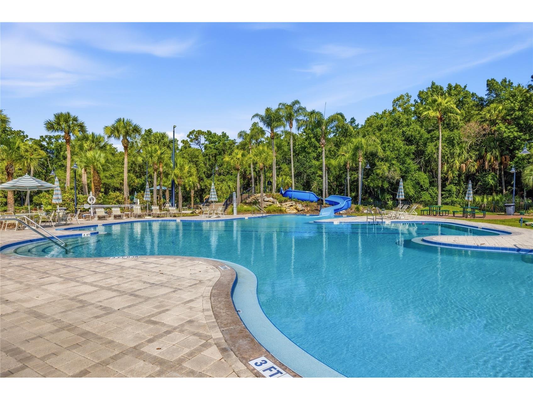 5125 Palm Springs Boulevard #1204 Tampa FL 33647 TB8523197 image27