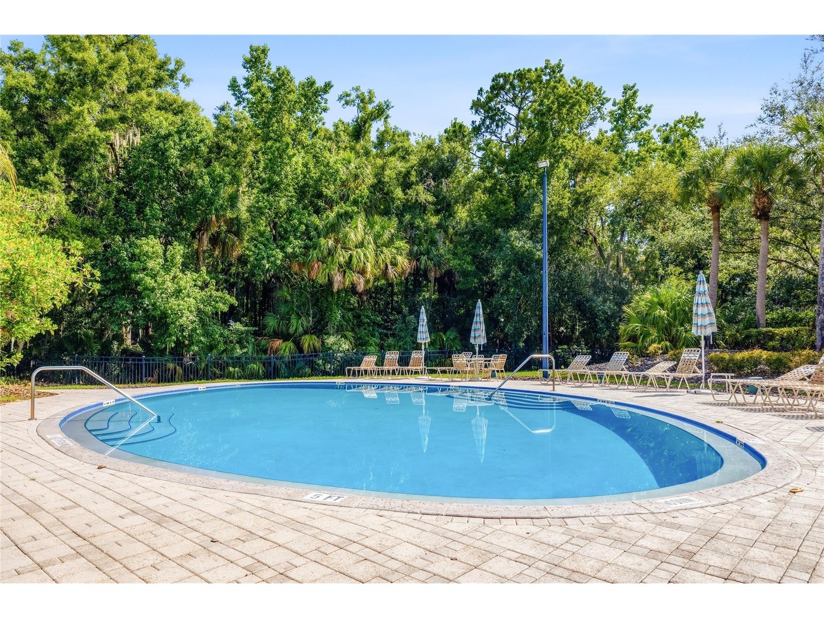 5125 Palm Springs Boulevard #1204 Tampa FL 33647 TB8523197 image28