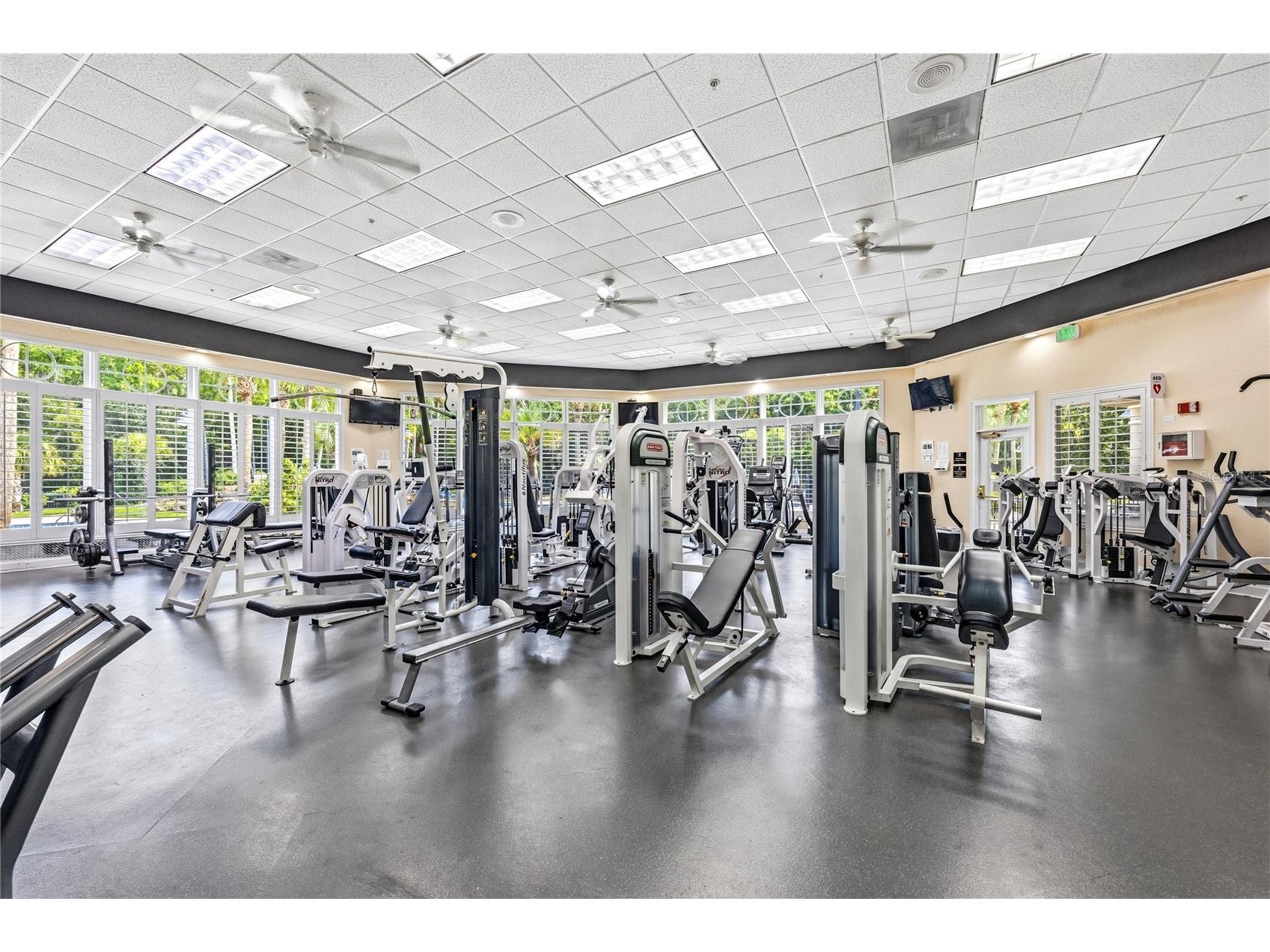 5125 Palm Springs Boulevard #1204 Tampa FL 33647 TB8523197 image29